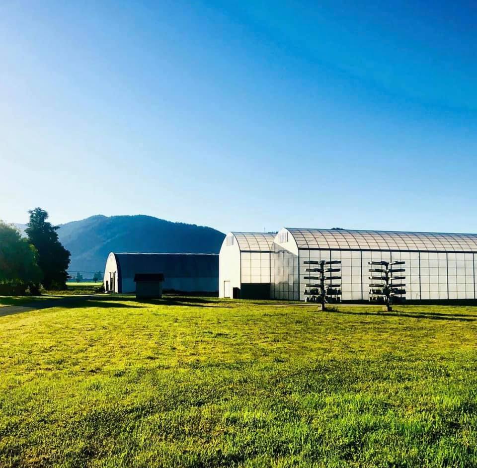 New Advisory Board Member for Commercial Strawberry Production